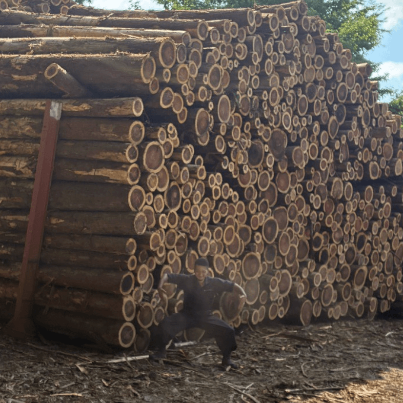 株式会社マルヒラ伐工について