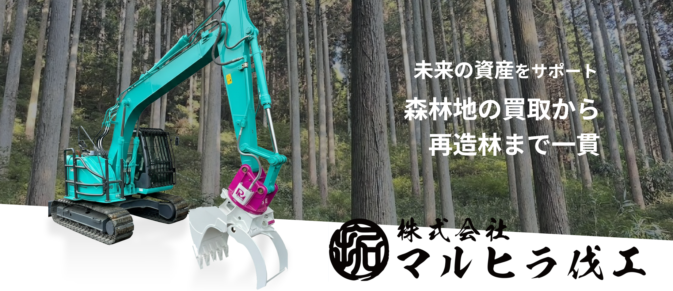 株式会社マルヒラ伐工 伐採現場