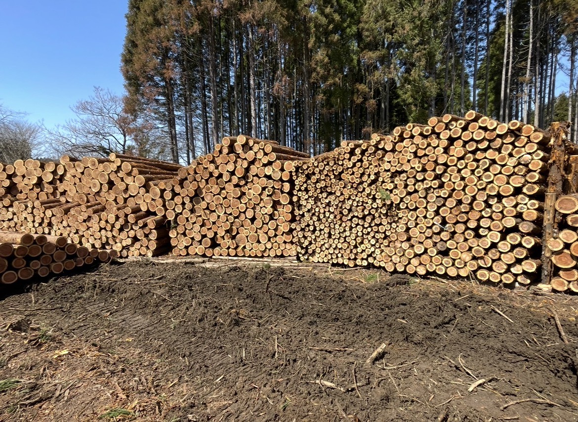 ドローン併用査定